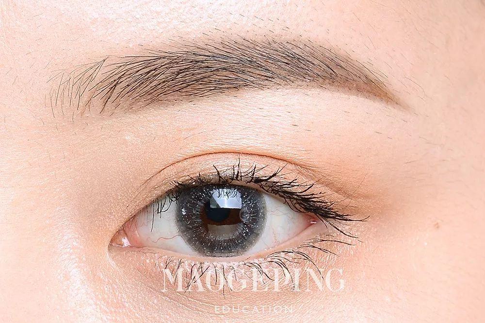 中指研究院：2025年上半年法拍房成交情况统计