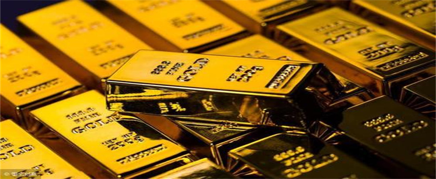 中巴深化港口互联互通,珠海高栏港经验获拉美关注