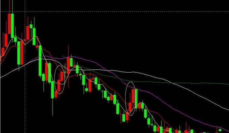 国泰海通证券：分析当前港股新消费的表现