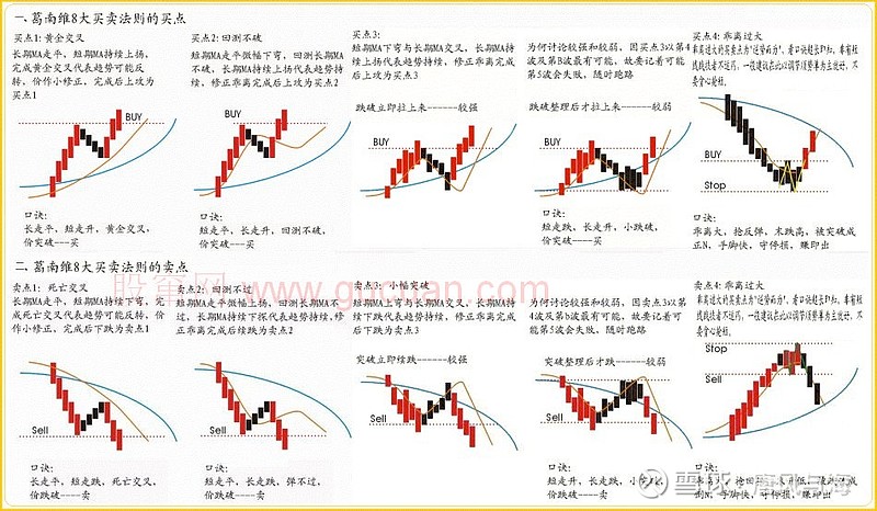 助力女企业家抢占“数字先机”