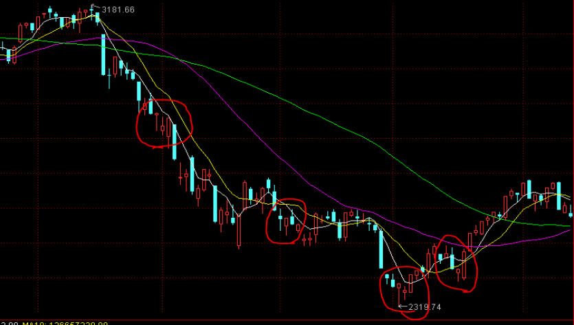 超300名韩国人在美被抓 两国各执一词 一文梳理韩美“罗生门”