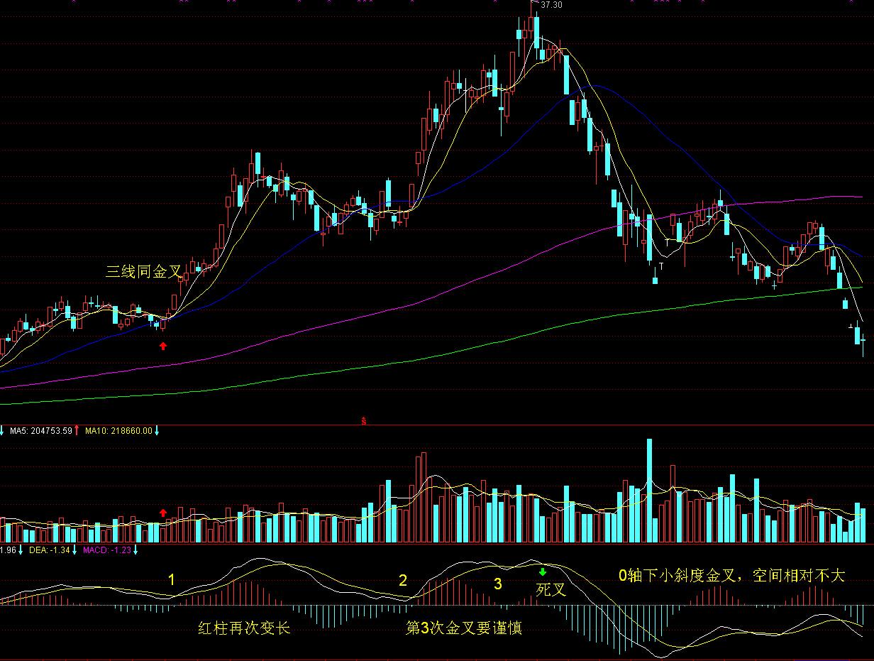 超300名韩国人在美被抓 两国各执一词 一文梳理韩美“罗生门”