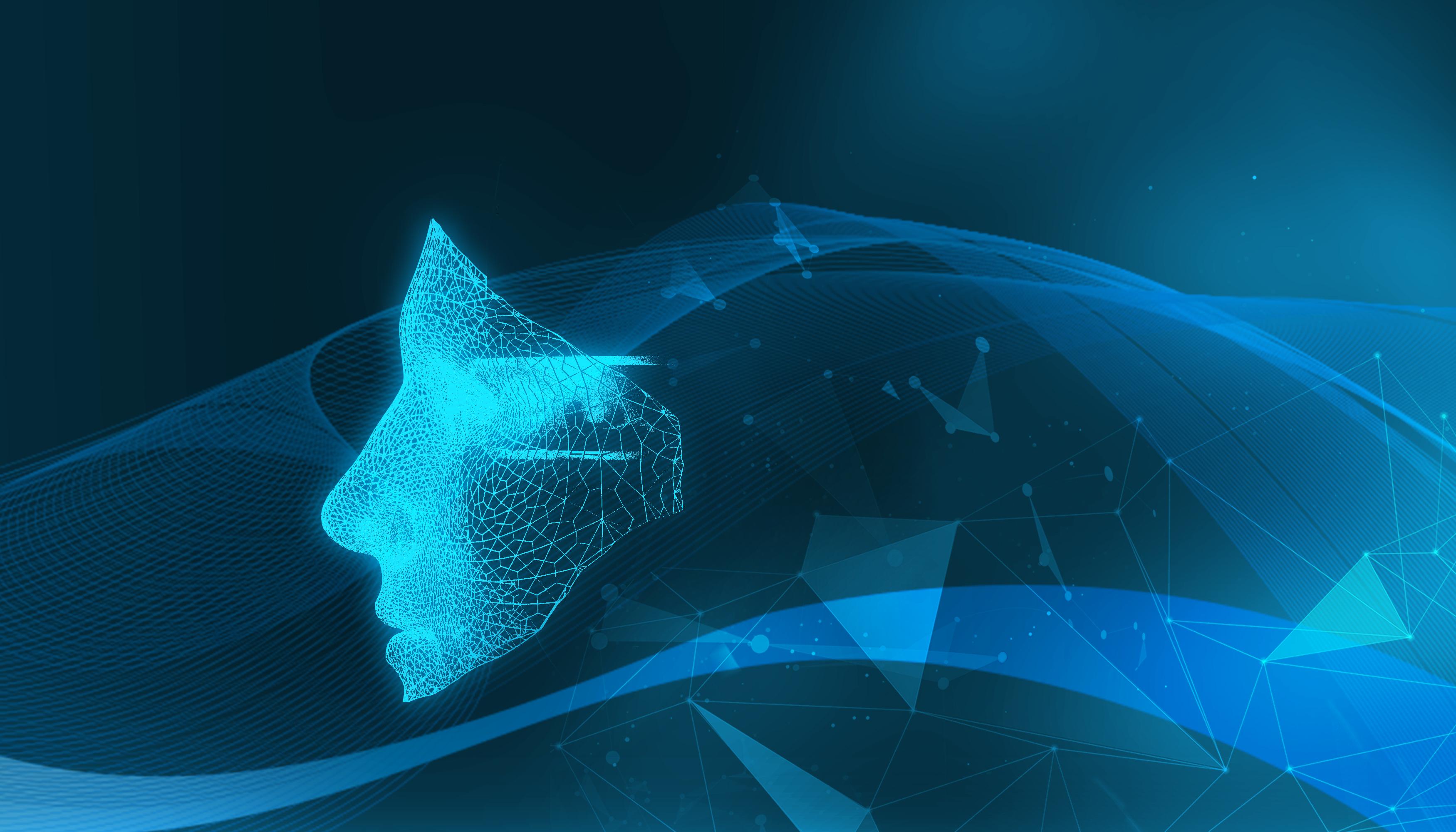 现代闽生活72式丨重阳至！今日宜登高，解锁爬山新玩法